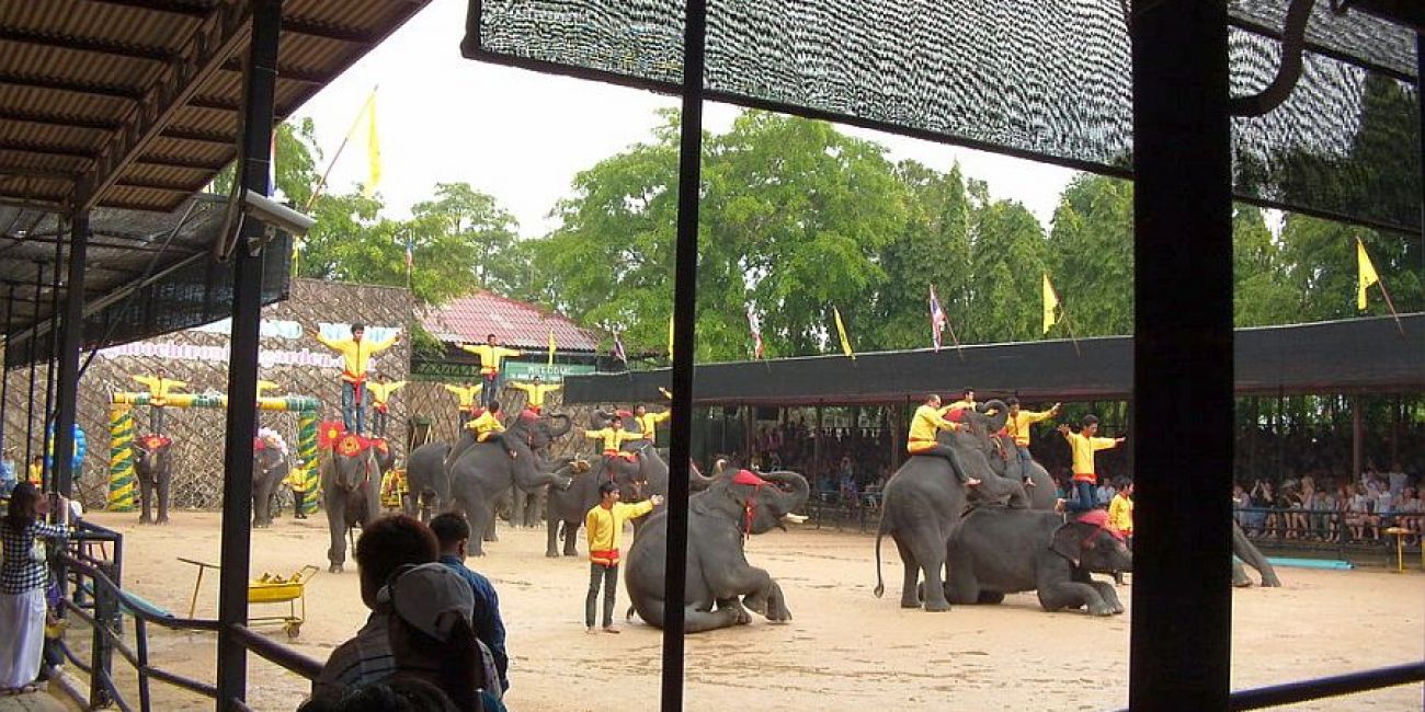 Piata de Craciun in Thailanda  Bangkok 