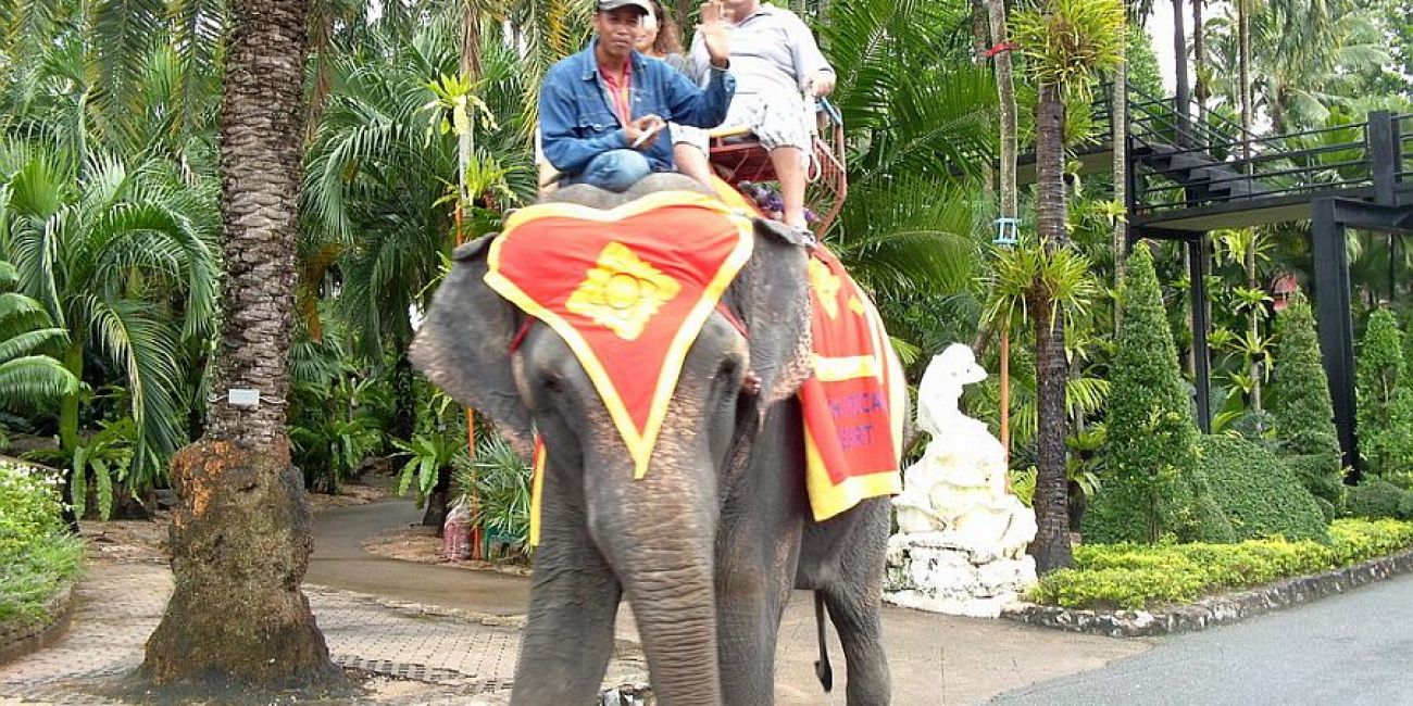 Piata de Craciun in Thailanda  Bangkok 