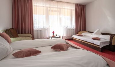 Imagine pentru Hotel Cumpatu 4* valabile pentru 1 Decembrie 2024