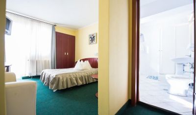 Imagine pentru Hotel Silva 3* valabile pentru 1 Decembrie 2024