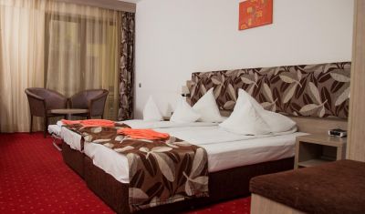 Imagine pentru Hotel Tisa 3* valabile pentru 1 Decembrie 2024