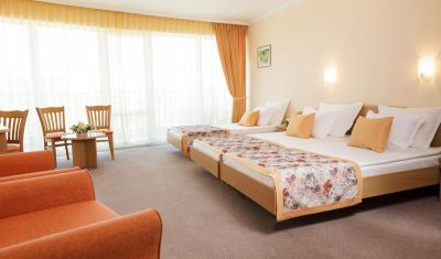 Imagine pentru Hotel Wela 4* valabile pentru 1 Mai 2025