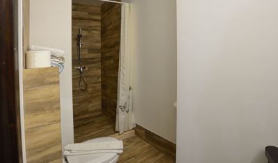 Imagine pentru Pensiunea Casa Elvira 4* valabile pentru Bucovina 2023