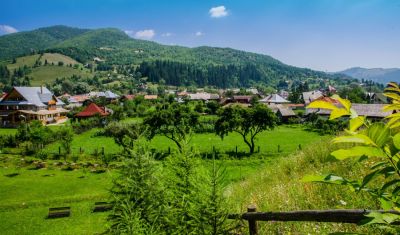 Imagine pentru Pensiunea Casa Elvira 4* valabile pentru Bucovina 2023