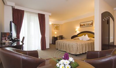 Imagine pentru Hotel Ambient 4* valabile pentru Craciun 2024