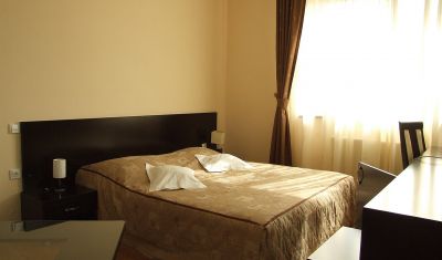 Imagine pentru Hotel Roata 3*  valabile pentru Craciun 2024