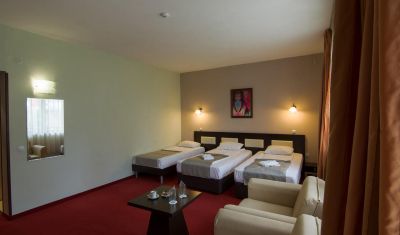 Imagine pentru Park Hotel Arbanassi 4* valabile pentru Craciun 2024