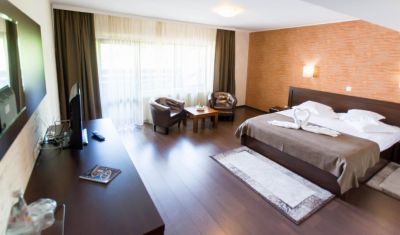 Imagine pentru Vila Hera Luxury 4* valabile pentru Craciun 2024