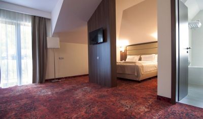 Imagine pentru Hotel Radsor 4* valabile pentru Revelion 2025